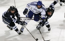 开云kaiyun体育-瑞士队公布新一期大名单，扎卡、阿坎吉强势回归，科贝尔与R罗领衔出战